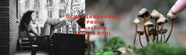 дживик Алзамай