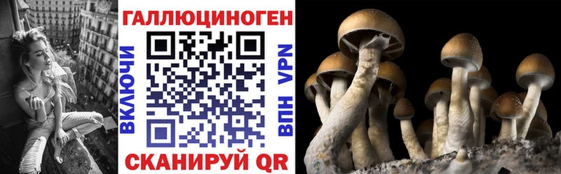 купить закладку  Дюртюли  Галлюциногенные грибы Psilocybine cubensis 