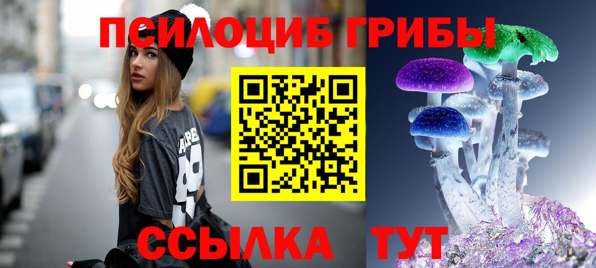 Дюртюли  Галлюциногенные грибы Cubensis  Вход с VPN 